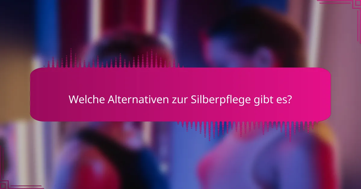 Welche Alternativen zur Silberpflege gibt es?
